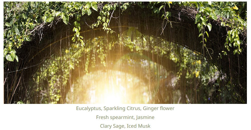 Eucalyptus & Spearmint (BBW Type) 薄荷尤加利