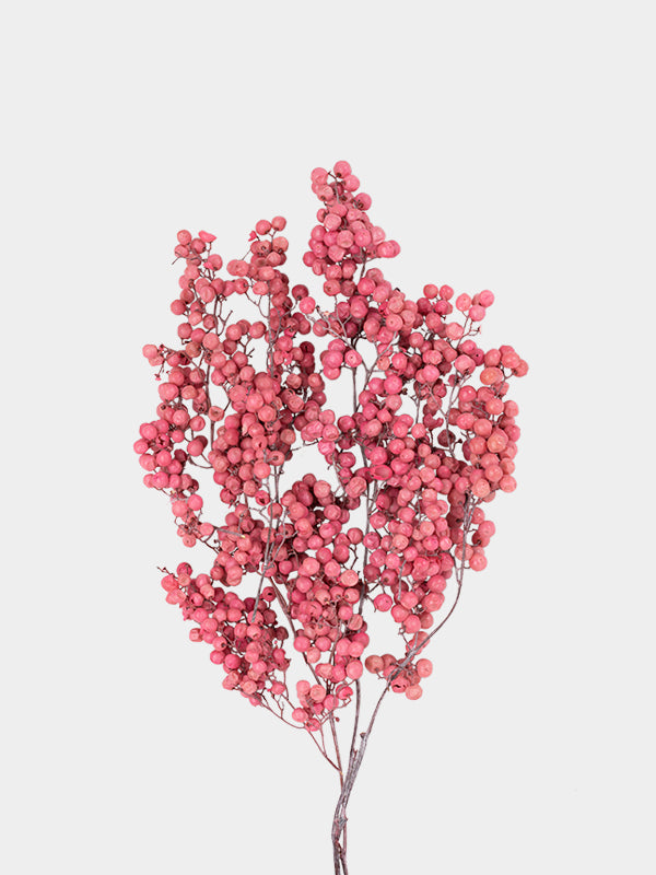 Preserved Pepperberry (Pink)