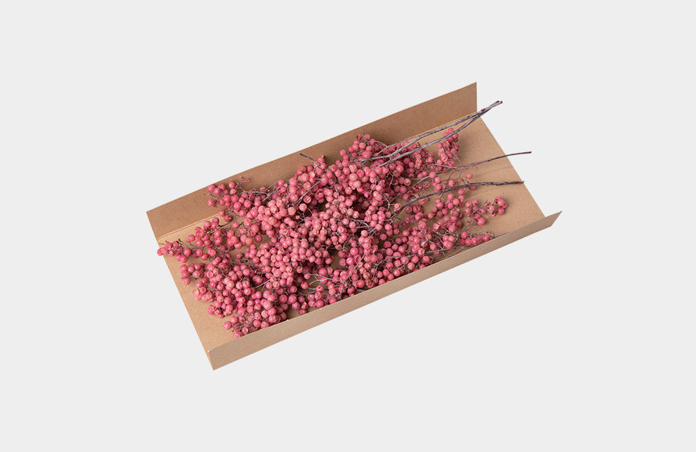 Preserved Pepperberry (Pink)