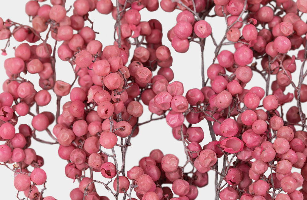 Preserved Pepperberry (Pink)