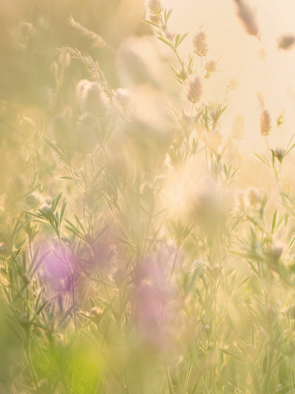 The Noir 29 (Le Labo Type)