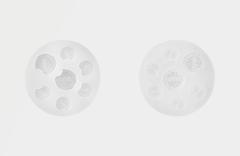 Bite of Biscuit Deco Mold (6-cavities) 一口餅乾裝飾模具(6腔)