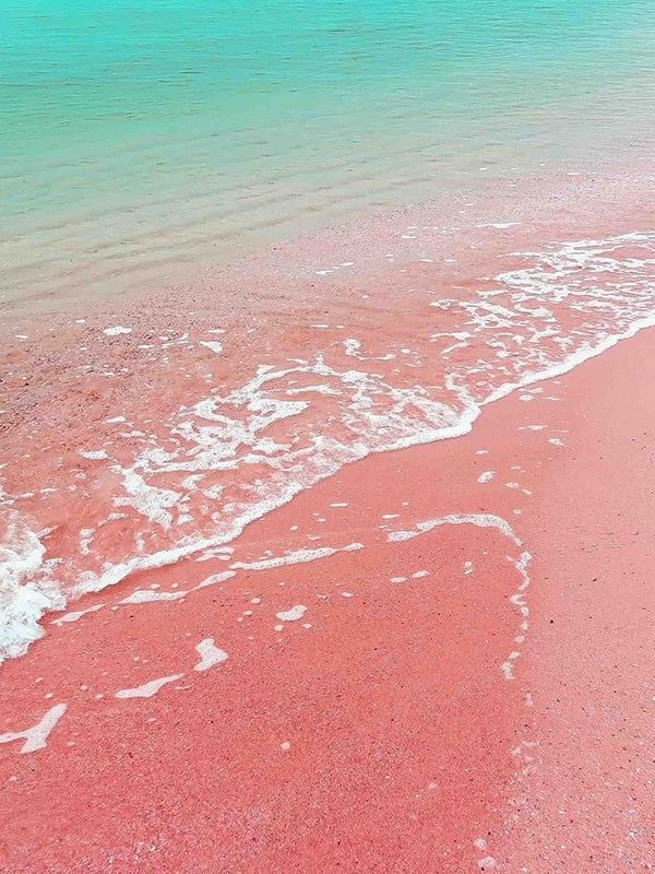 Pink Sands (YC Type) 粉紅沙灘