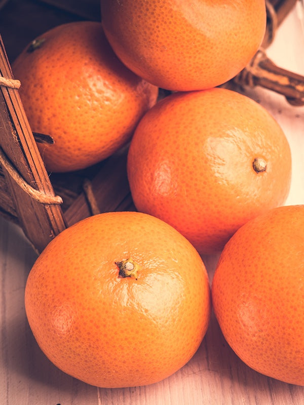 Oyedo = Mandarin & Citrus (D Type) 橘子柑橘