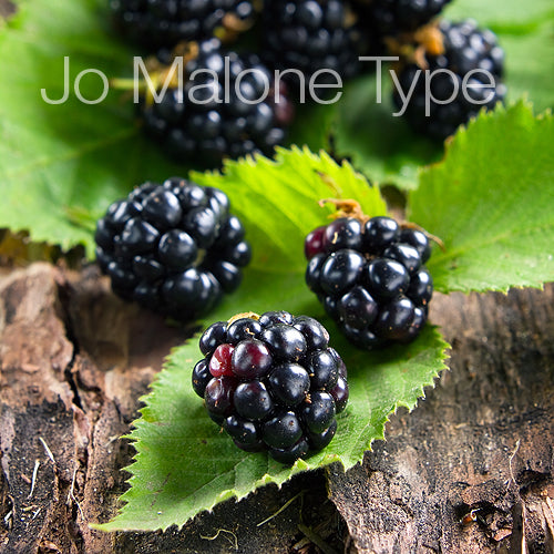 Blackberry & Bay (JM Type) 黑莓子與月桂葉