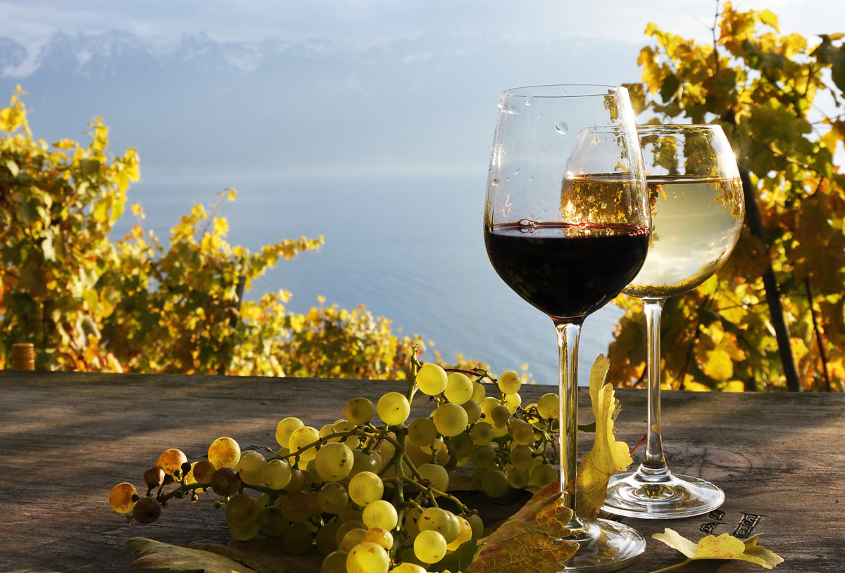 Citron de Vigne (Citrus Champagne, Fresh Type) 柑橘香檳,新鮮型