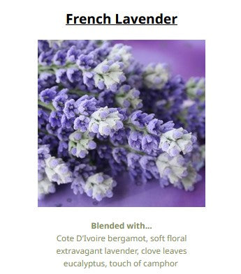French Lavender 法國薰衣草