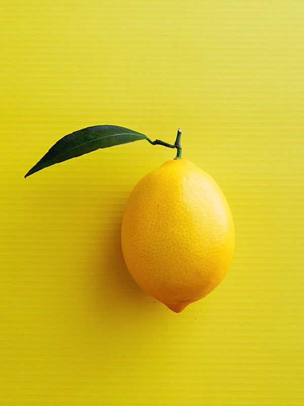 Bitter Lemon 苦檸檬