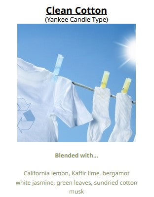 Clean Cotton (YC Type) 乾淨的棉布
