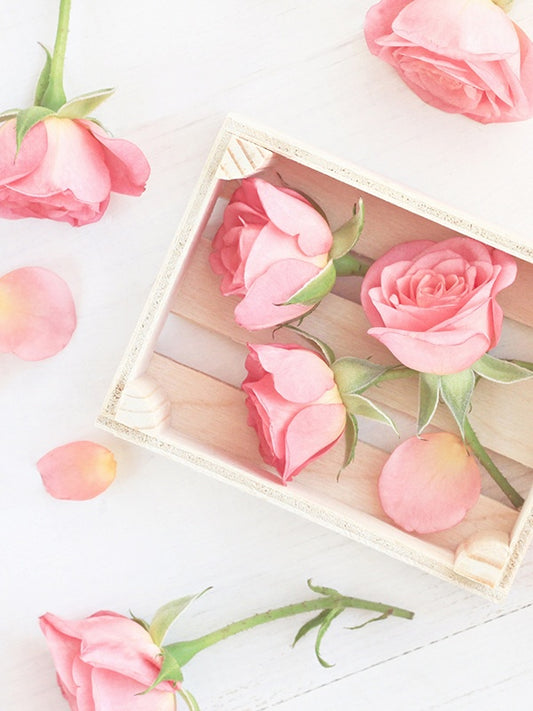 Rose Pompon (Annick Goutal Type) 玫瑰密語