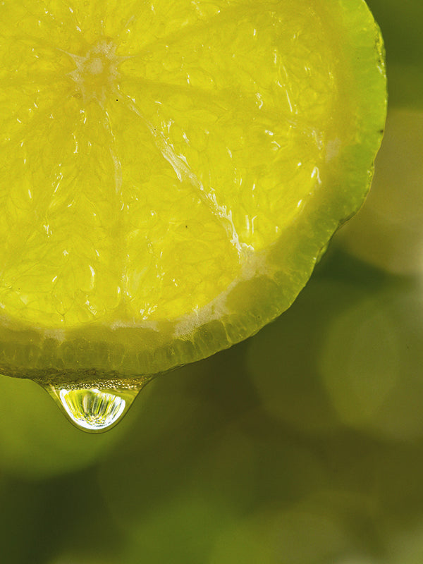 Essential Oils 精油