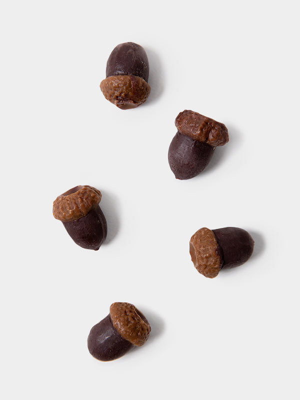 Fruit Embed Silicone Molds 水果嵌入矽膠模具