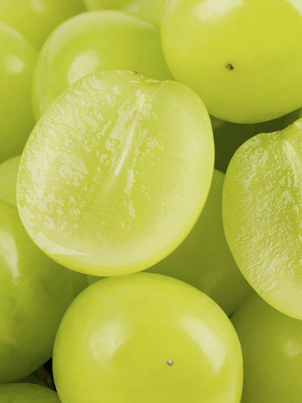 Shine Muscat ~Green Grapes 香印提子