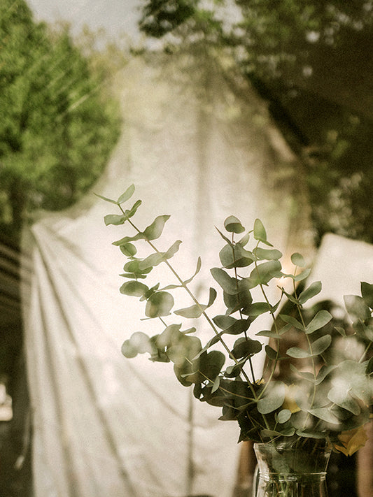 Santal 33 (Le Labo Type) 檀香木