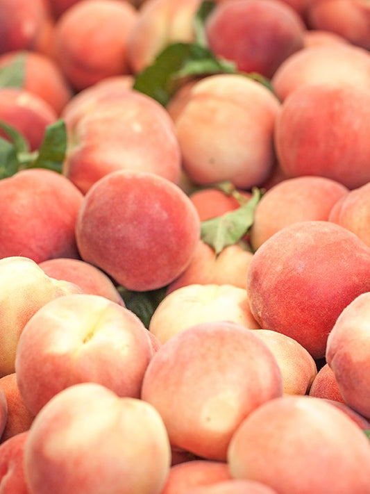 Heavenly Peach 天桃