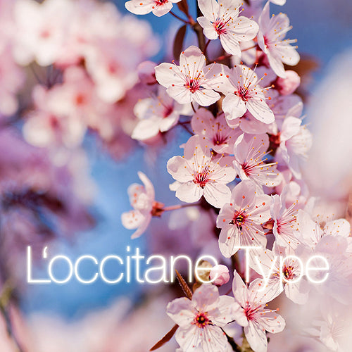 Cherry Blossom (L'occitane Type) 櫻花